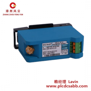 Bently Nevada RS900106-05-30-05-02-00 高精度振動(dòng)監(jiān)測(cè)模塊