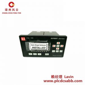 EXPERT LCP-100Expert 稱重變送器