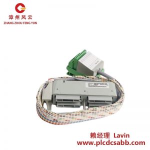 FOXBORO P0500RG 工業(yè)控制系統(tǒng)模塊