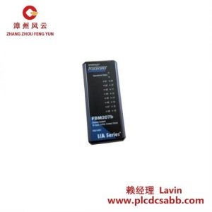 福克斯波羅 P0916NK 工業(yè)控制模塊
