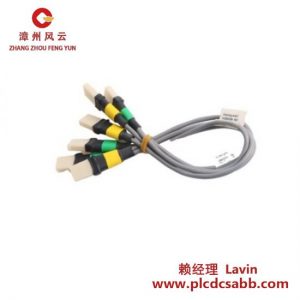 霍尼韋爾 FS-IOBUS-CPIO3 工業(yè)控制IO總線(xiàn)模塊