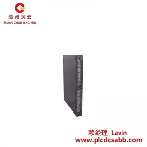 ICS Triplex T811B模塊 工業(yè)控制專用