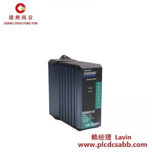 福克斯波羅 P0931RQ CP30I/A系列 DCS模塊