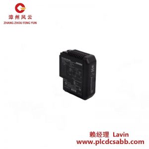 羅斯蒙特 SCL-C-003-M2 模擬輸入模塊