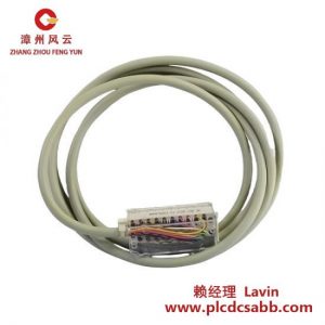 施耐德 Schneider BMXFTA1522 1.5米 高級模擬輸出電纜
