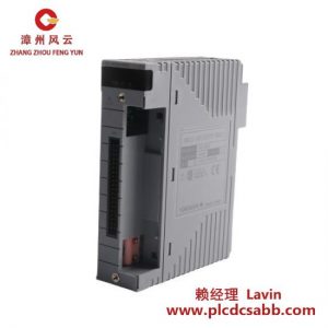 YOKOGAWA AAI835-H00 模擬輸入輸出模塊