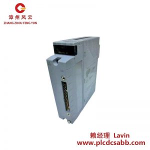YOKOGAWA AAI835-H00 S1模擬輸入輸出模塊