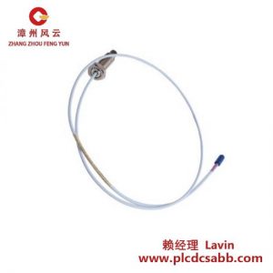 BENTLY NEVADA 330910-00-12-10-02-00 高精度振動(dòng)監(jiān)測(cè)傳感器