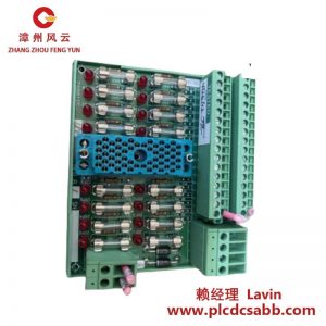 TRICONEX 3000510-180現(xiàn)場(chǎng)端子面板