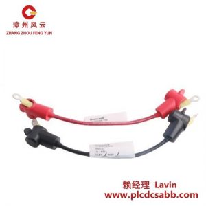 霍尼韋爾 51202335-100 51202335-200 51202335-300 數(shù)字輸入模塊
