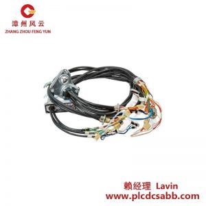 ABB 3HAC069651-001 工業(yè)級(jí)電纜束
