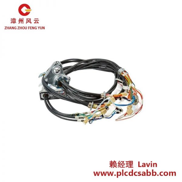 ABB 3HAC069651-001 工業(yè)級(jí)電纜束