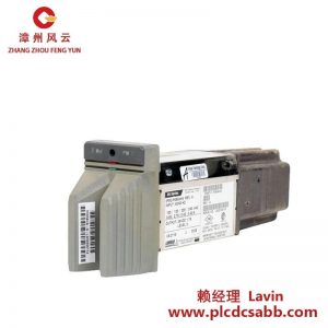 FOXBORO IPM2 工業(yè)控制模塊