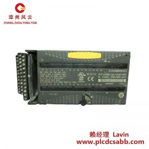GE IC200MDD842J 24VDC輸出混合型16點輸入模塊