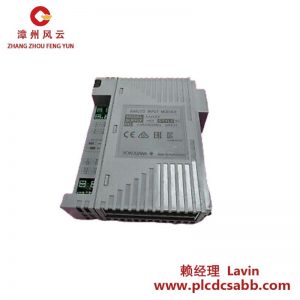 YOKOGAWA AAI143-H53 S1模擬輸入模塊