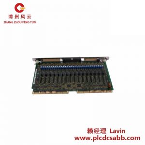 BAUER SIRAX TV808 808-611100 隔離放大器