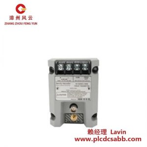 Bently Nevada 991-06-50-01-01 高精度振動(dòng)監(jiān)測(cè)模塊